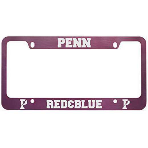 SM-31-PNK-UPENN-1-LRG: LXG SM/31 CAR FRAME PINK, Pennsylvania